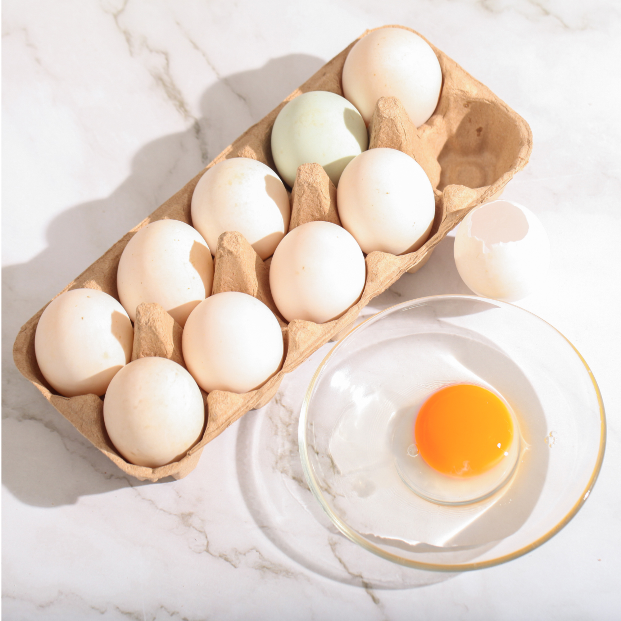 Organic Duck Eggs, 12-Pack - GO Organics